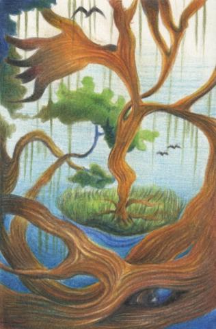 IVY鄧 - 色鉛筆插畫創作