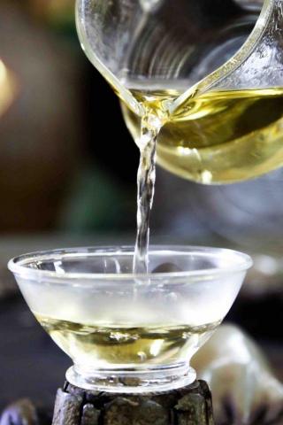 藍斯洛 影像創作 -  藍斯洛 影像創作 -