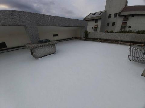 晴鏵修繕--施作面--天地牆水泥-角木架設-屋頂防水-油漆 - 屋頂防水
