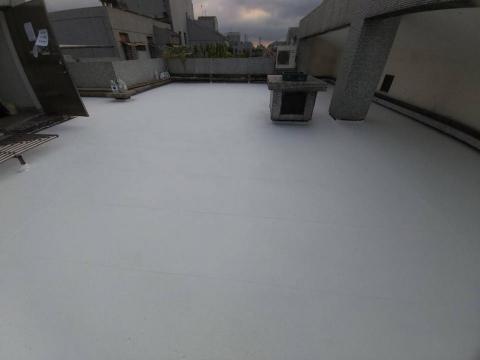 晴鏵修繕--施作面--天地牆水泥-角木架設-屋頂防水-油漆 - 屋頂防水