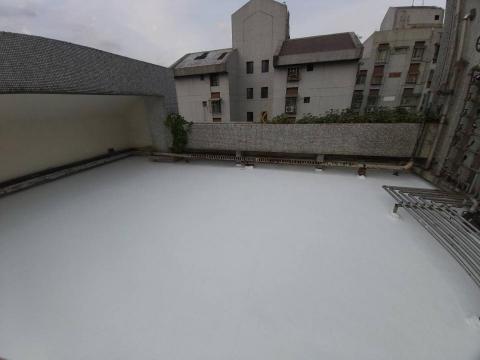 晴鏵修繕--施作面--天地牆水泥-角木架設-屋頂防水-油漆 - 屋頂防水