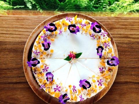 陳珊儒 - 善於製作水果塔/起司蛋糕/提拉米蘇/檸檬塔/生乳酪等等