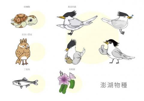 卓邑設計 - 小門與北寮地質解說手冊（澎湖縣農漁局）內頁插圖。