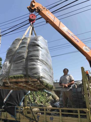 禾成景觀園藝 - 