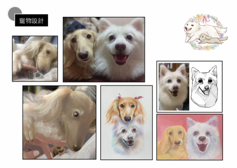 ʏᴏʏᴏ's 又是柚式 🍐 - 