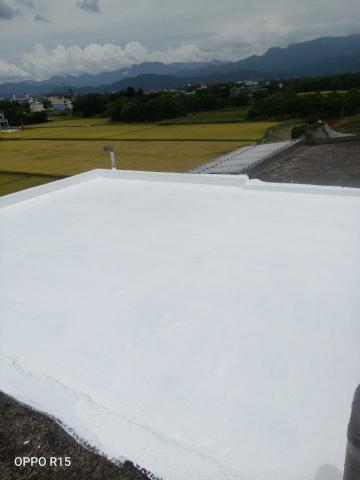 服務~熱誠，防水抓漏   專業團隊  專業儀器測漏～ - 頂樓防水工程.