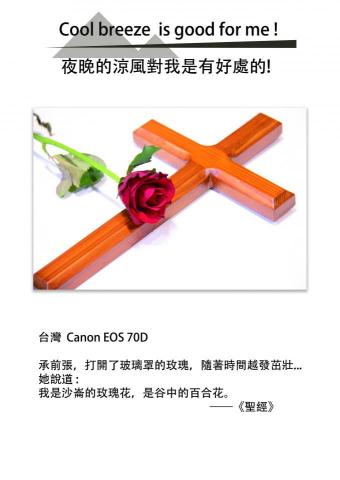 慕丞文創工作室 - 