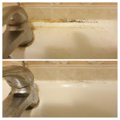 黃傳益 - 犀利康除黴