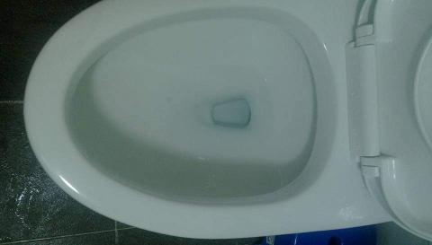 菲菲家事服務 - 浴室馬桶污垢清潔