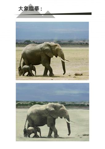 慕丞文創工作室 - 