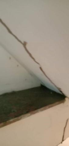 青山霸病媒防治企業消毒公司 - 