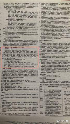  - 幫忙客戶翻譯紅框中的文字給客戶