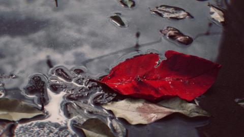 默默無名工作室NOMIN STUDIO - 攝影