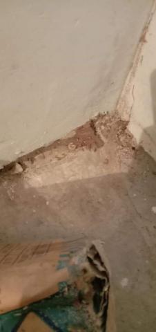 青山霸病媒防治企業消毒公司 - 