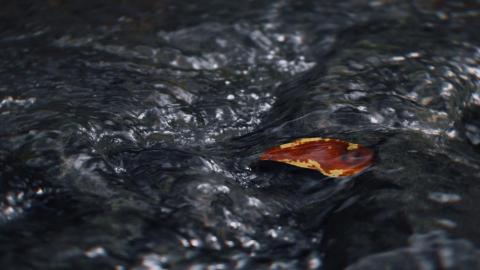 默默無名工作室NOMIN STUDIO - 攝影