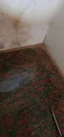 青山霸病媒防治企業消毒公司 - 