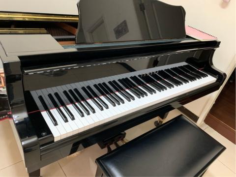 温温的音樂森林🌲 - 