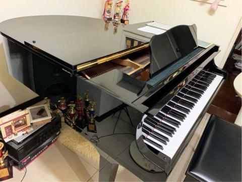 温温的音樂森林🌲 - 