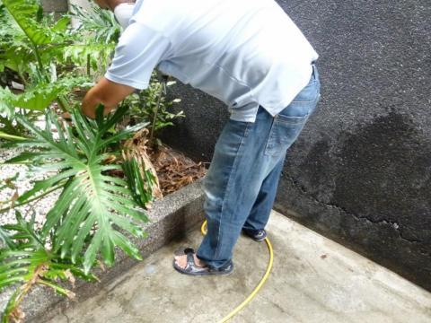 青山霸病媒防治企業消毒公司 - 