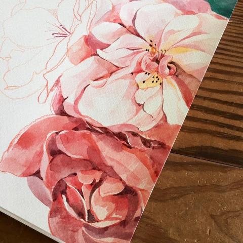 美東體 - 花卉｜水彩