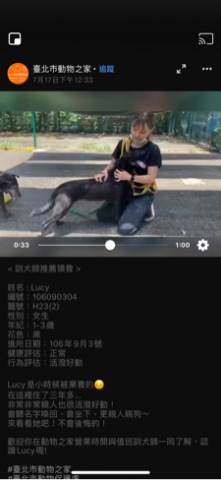 狗狗訓練師 李薇 - 推薦領養 狗狗訓練師 李薇 - 推薦領養