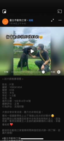 狗狗訓練師 李薇 - 推薦領養 狗狗訓練師 李薇 - 推薦領養