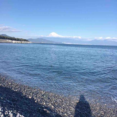 提供劉嘉雯服務的專家鍾妤雯