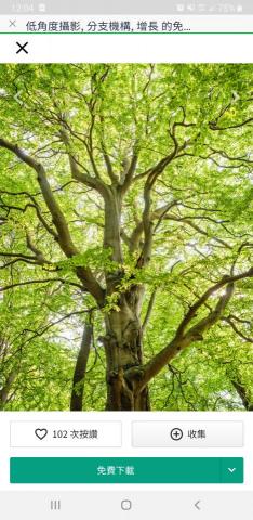 陳鎮祥 專業壁紙 - 