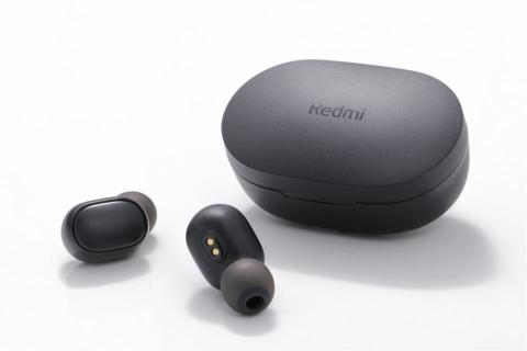 柳丁 - 單色背景 商攝