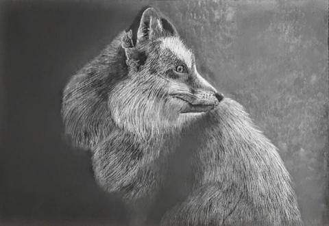 陳冠臻 - 全程使用白筆（模仿一張狐狸照片）（美國留學時的作品）