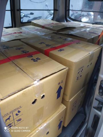 一台車凸歸呆丸 - 全省魚中魚連鎖觀賞魚運送