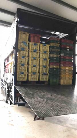 盧宥任-盛祥陸運公司 - 鮮果承運（國產&進口皆可運輸）