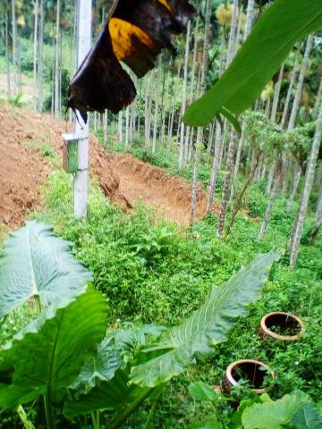 和鑫企業工程 - 擋土牆1