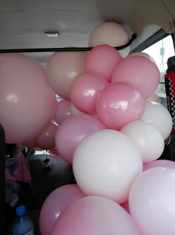 一台車凸歸呆丸 - 