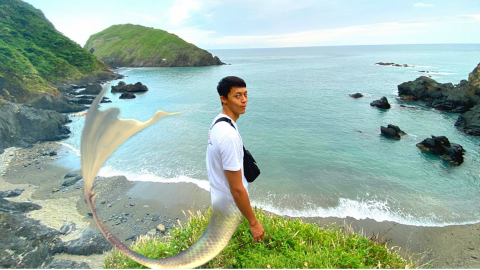 WAYNE - 想當人魚游大海?