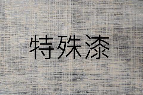 彩立油漆工程有限公司 - 特殊漆 $1000/坪起