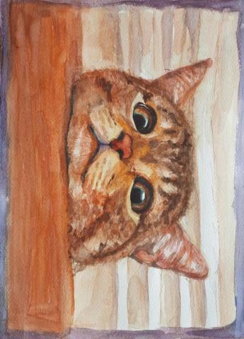 鴿子咕咕 - 水彩練習