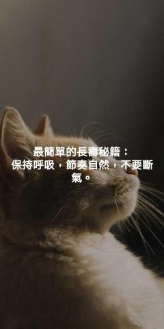 提供设计服務的專家陈德鳯