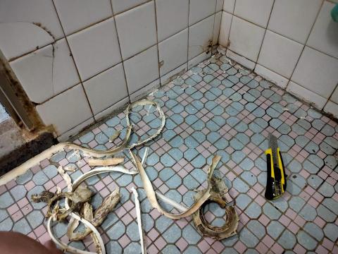 全豐矽利康工作室 - 矽利康完全剃除