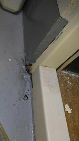 正曜水電工程行 - 浴室漏水檢測