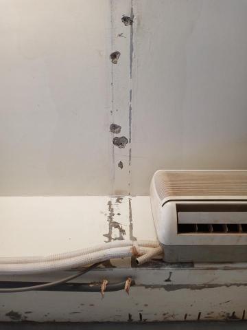 王政遠 -  王政遠 -