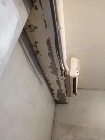 王政遠 -  王政遠 -