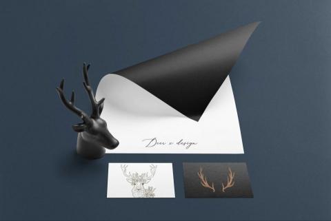 Yuanyuan -  Yuanyuan -