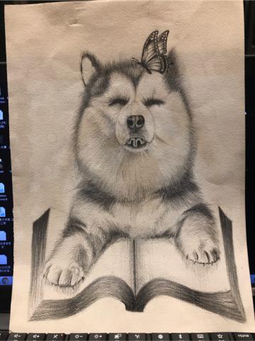郭佩 Kimmy - 同事委託畫一隻夢寐以求的哈士奇