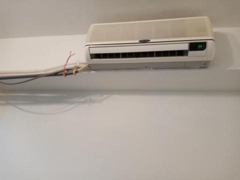 王政遠 -  王政遠 -