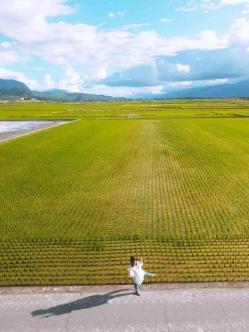 提供ui ux服務的專家吳嘉嘉