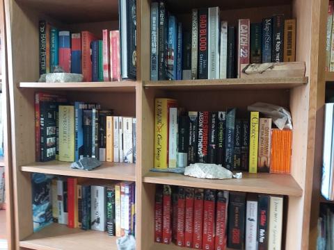 吳冠臻 - 閱讀1000+本各領域書籍，教材廣泛