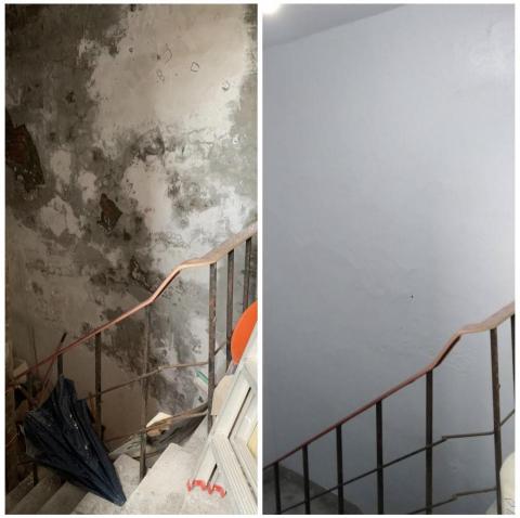 善水工程有限公司 - 為您的愛屋整理煥然一新，根治頭疼的漏水跟嚴重壁癌，並且美化外觀，照片案例施工僅3天不敲不打完成