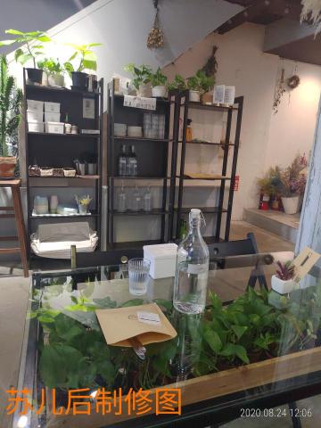 風雨蘇兒 - 修图前