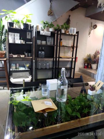 風雨蘇兒 - 修图后